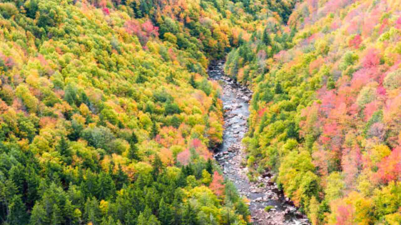 Boutique Air Office in Pendleton, Oregon