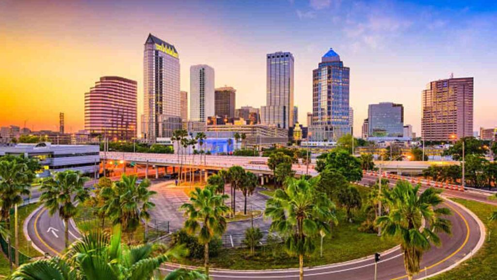 Tampa Office