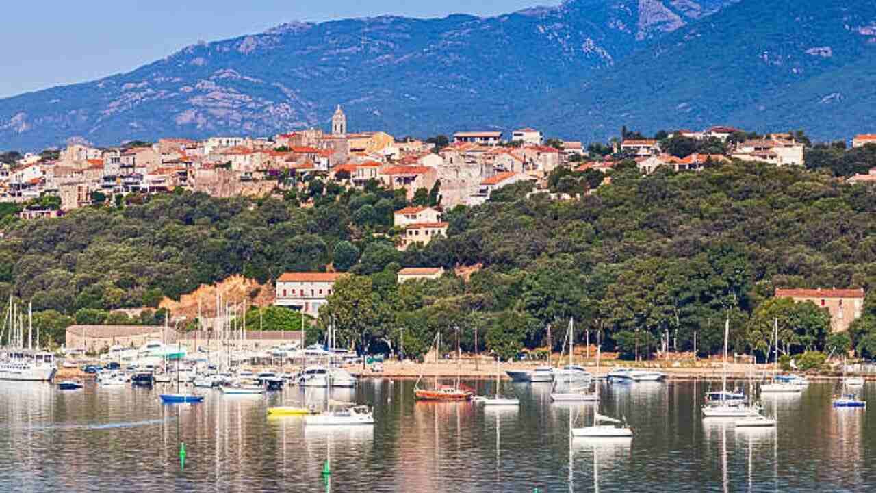 Air Corsica Alliance Office