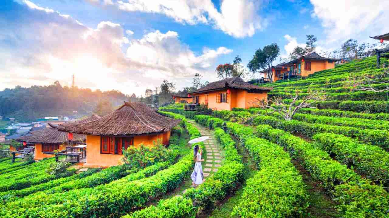 Eastar Jet Ibaraki Office in Japan