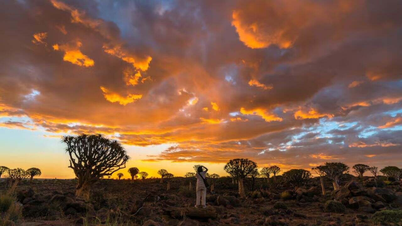 Antigua Airways West Africa Office